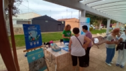 Continuamos con las campañas 