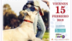 Campaña Sanidad Pública y Bienestar Animal