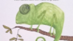 Maravicuentos para niños de 4 a 8 años en la Biblioteca de la Manga LA VOCECITA