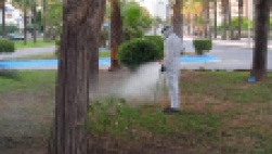 La Concejalía de Sanidad intensifica la lucha contra los mosquitos