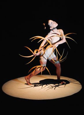 Avance programa 55 Festival Internacional de Teatro, Música y Danza de San Javier que se celebrará del 31 de julio al 21 de agosto
