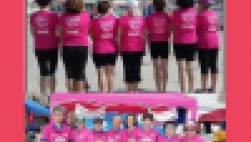 Flamenco rosa: Afrontando el futuro