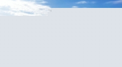 Proyectos sobre gestión sostenible de los arribazones de posidonia y sobre las encañizadas