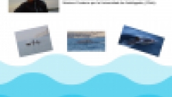 Mujeres de los mares. Estudiando los cetáceos del desierto de Atacama