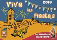 FIESTAS PATRONALES DE POZO ALEDO 2016